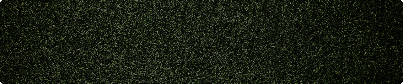 Granawin Wersja Mobilna